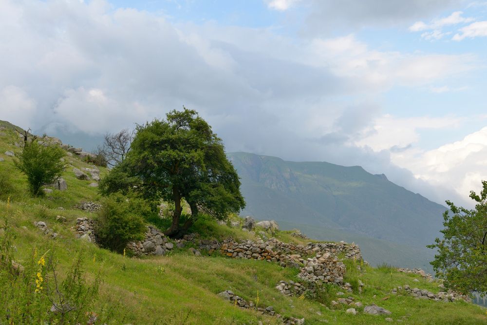 Photograph by Александр Шведов