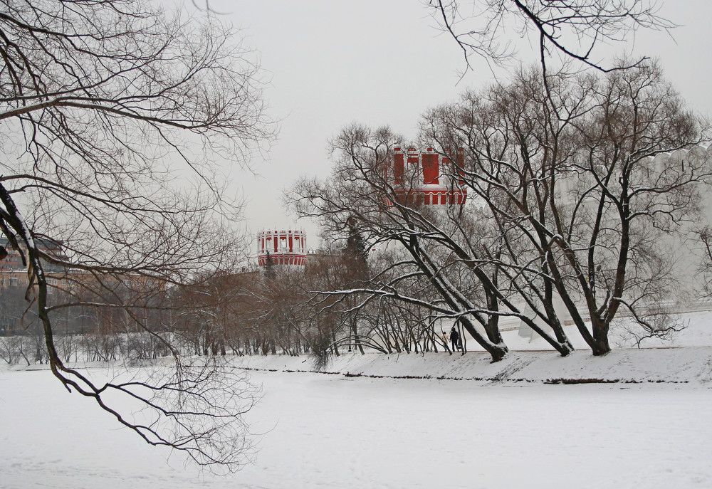Novodevichy convent