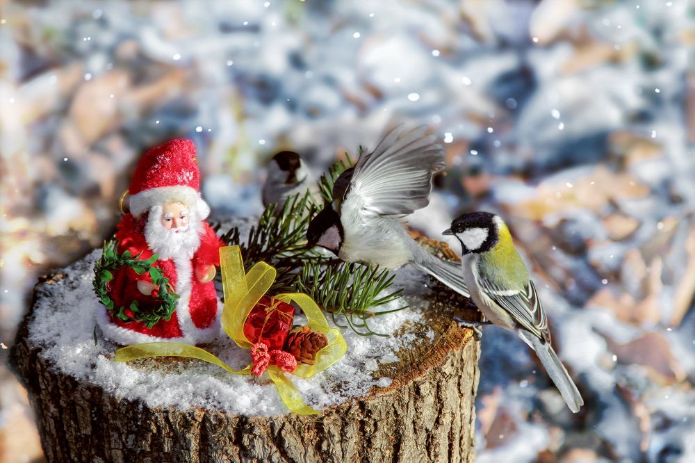 Чем не открытка? !