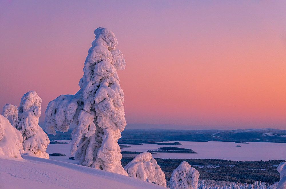 Страж Лапландии.
