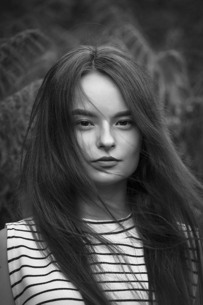 Фотография автора Алла Балабан