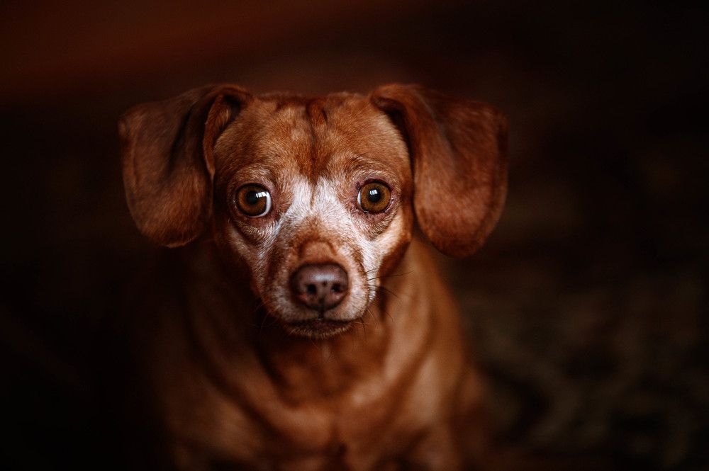 Photograph by Кристина Чижмар