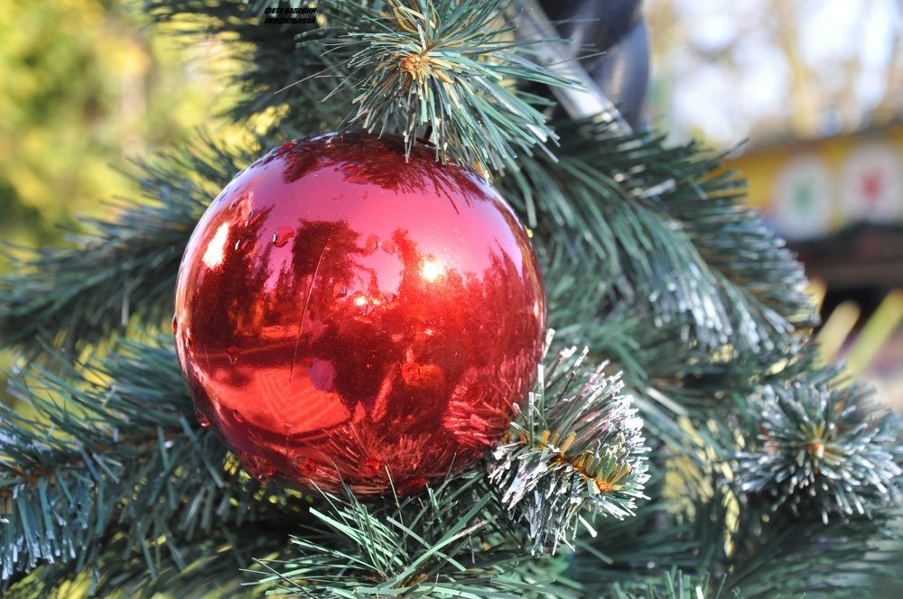 Photograph by Валерия Перфильева