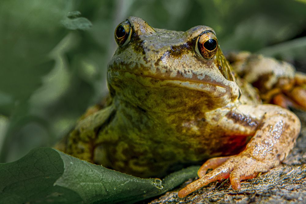 Photograph by Игорь Смирнов