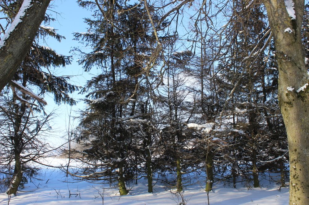 Фотография автора Катеренчук Андрей