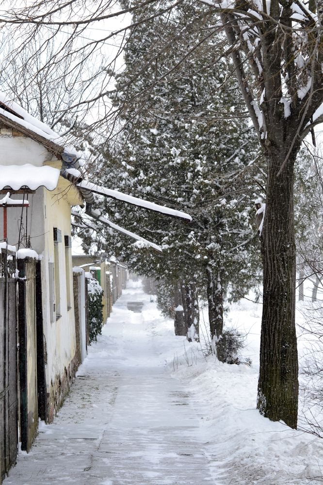 Photograph by Szabó László