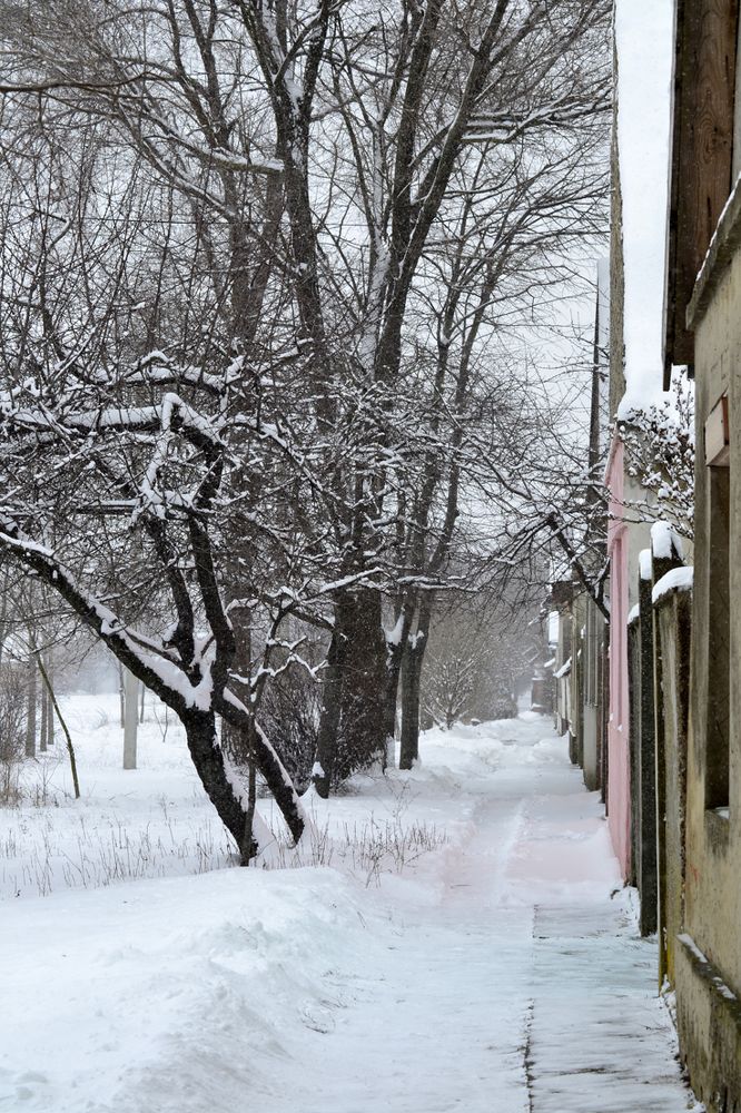 Photograph by Szabó László