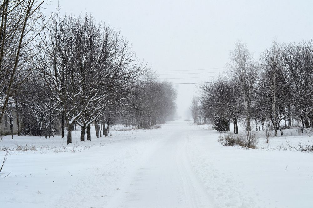 Photograph by Szabó László