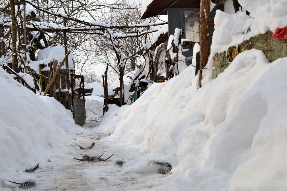 Photograph by Szabó László