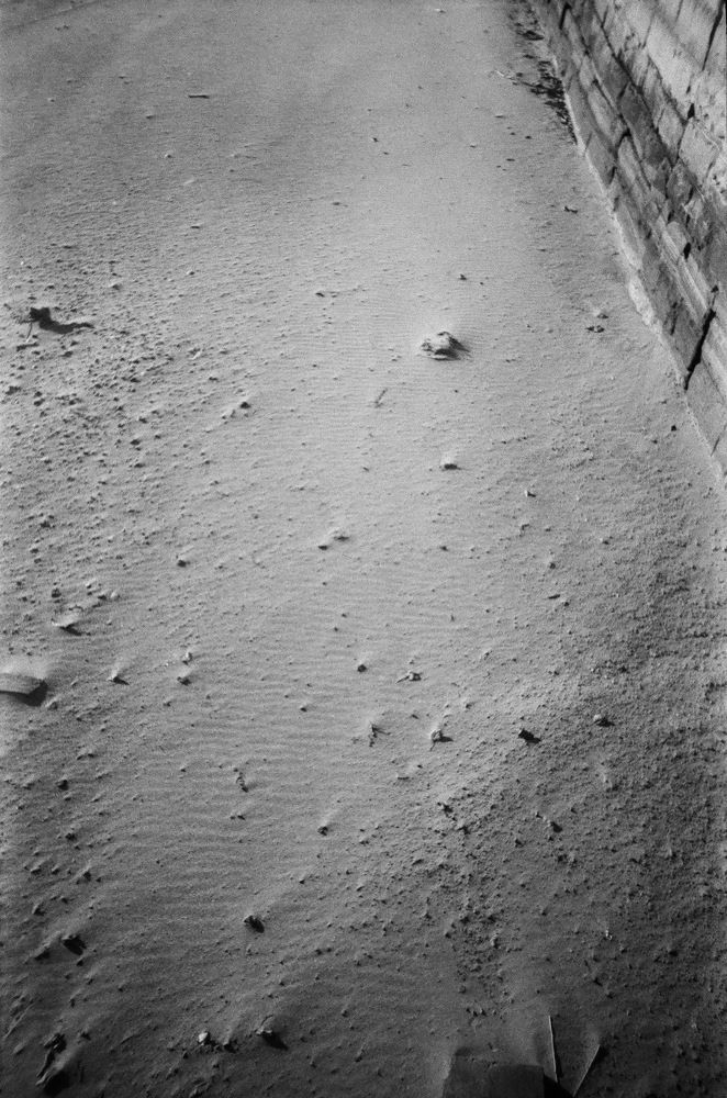 Photograph by Дмитрий Сосна