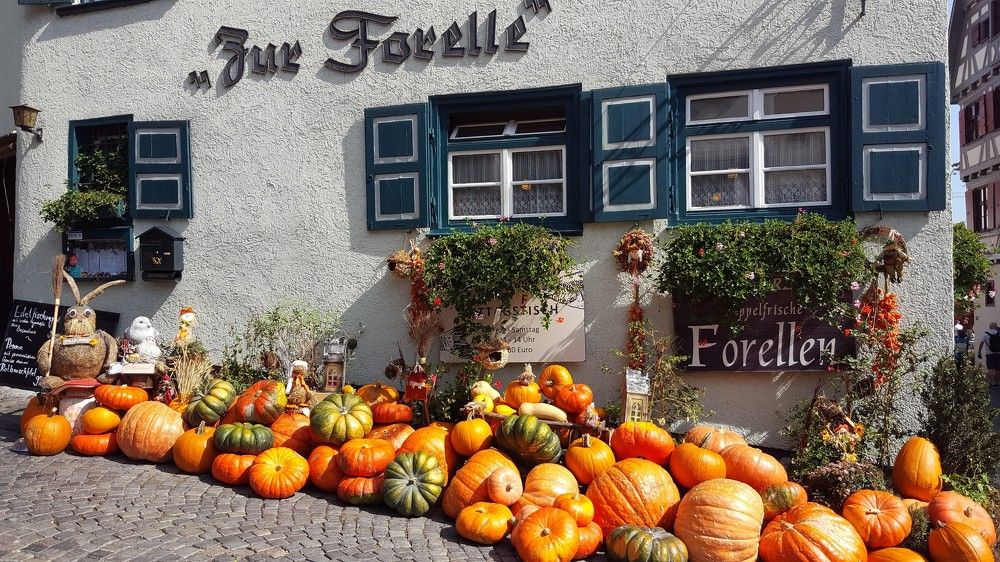 Photograph by Марина Рохлина