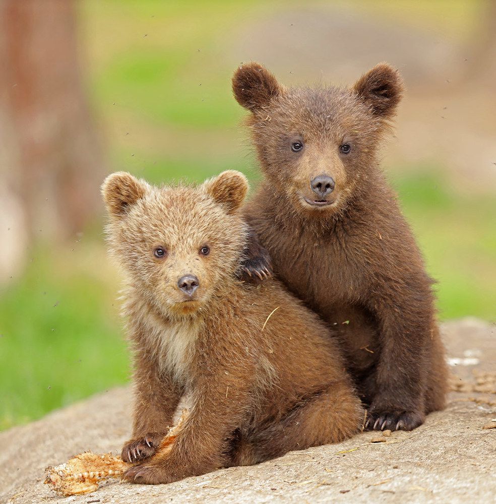 Семейное фото.