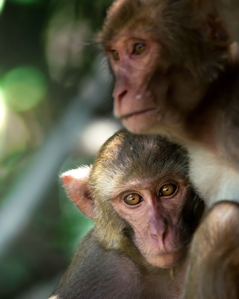 Photograph by NAVONILOY BHAUMIK