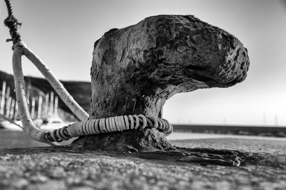 Photograph by Ángel Ros