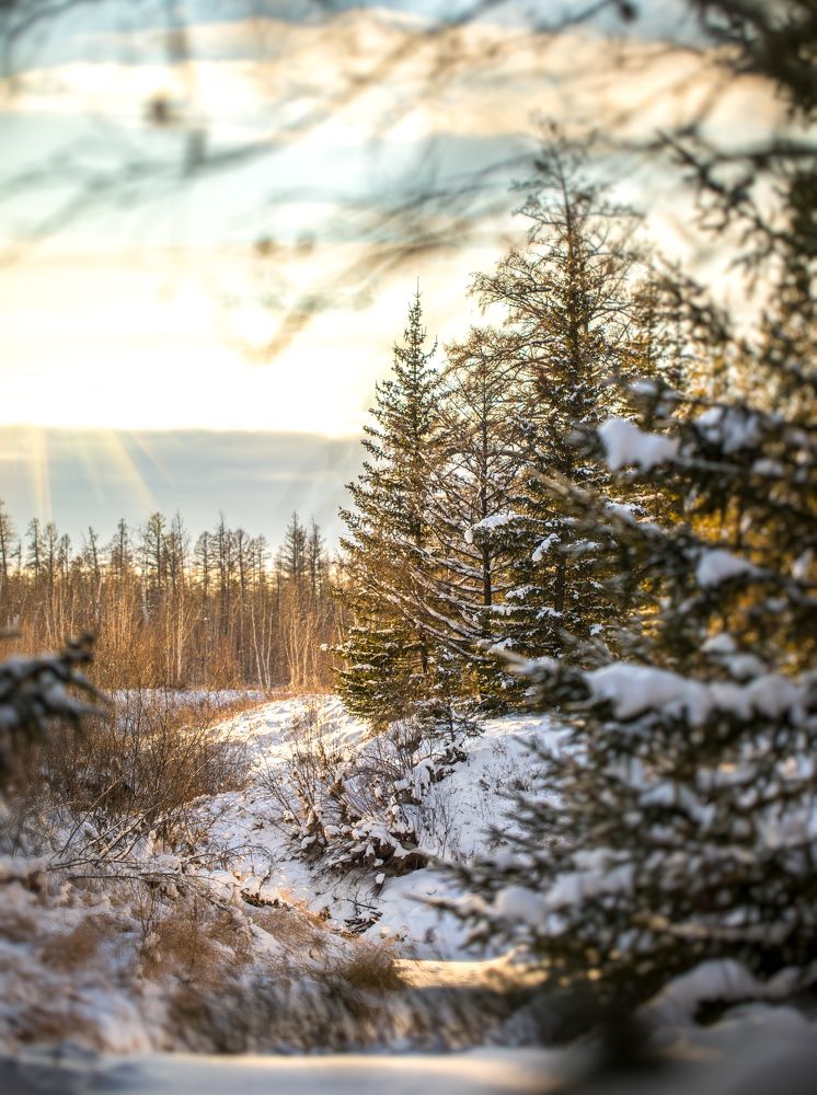 Photograph by Наталья Оконешникова