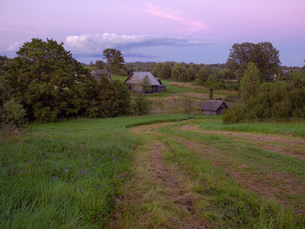 Photograph by Дмитрий Котов