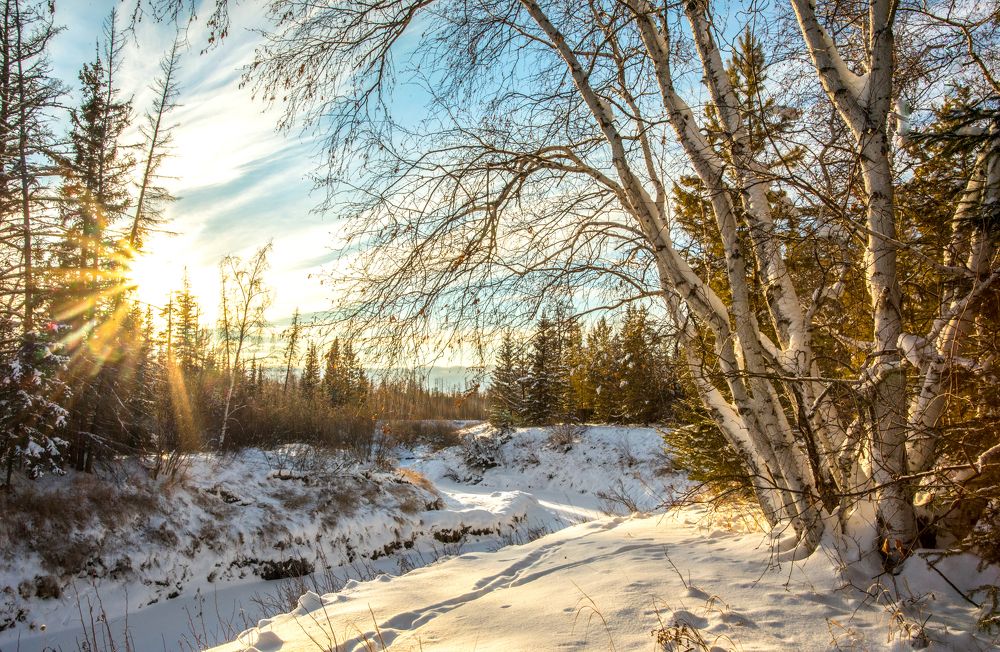 Photograph by Наталья Оконешникова