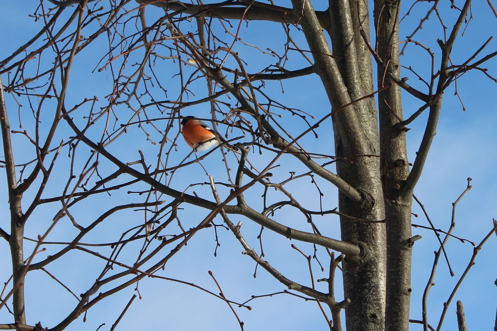 Фотография автора Катеренчук Андрей