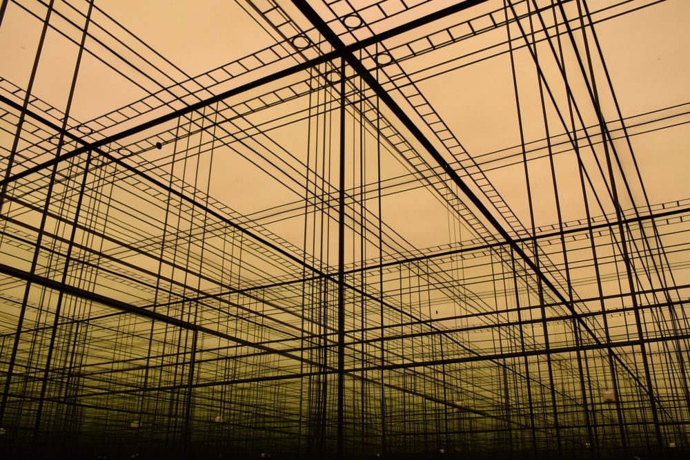 Photograph by Ekaterina