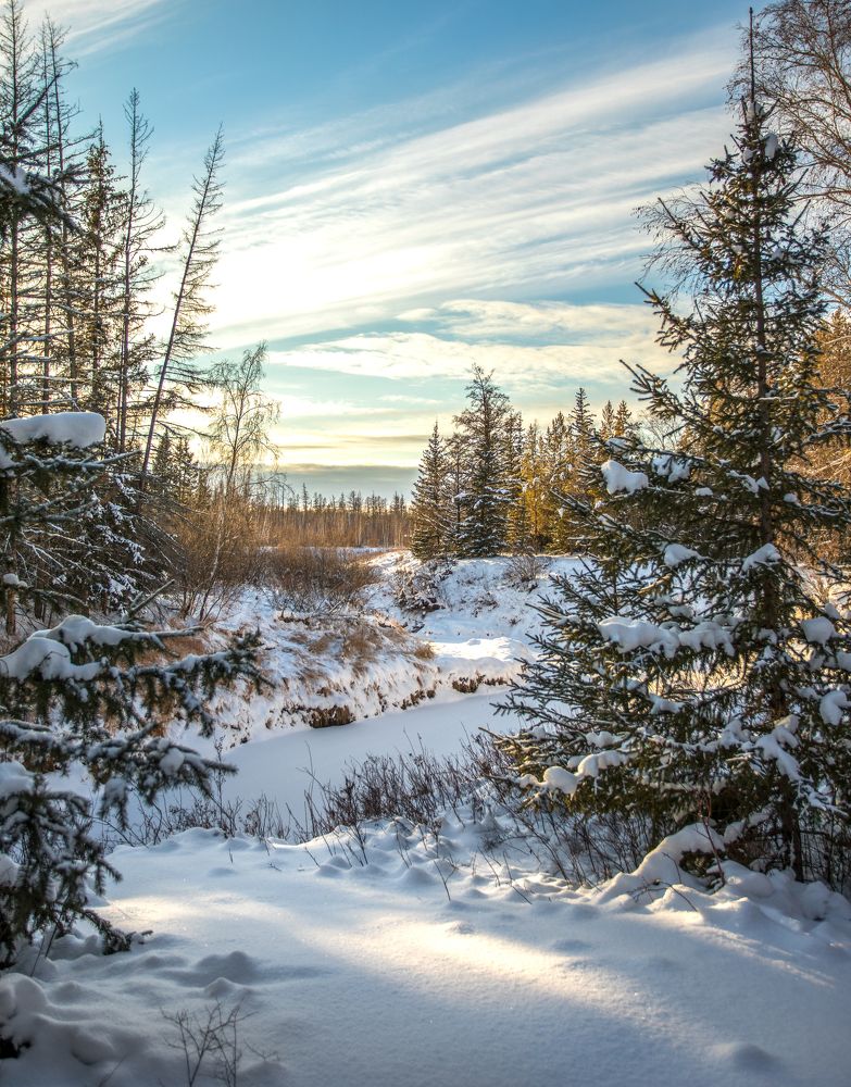 Photograph by Наталья Оконешникова