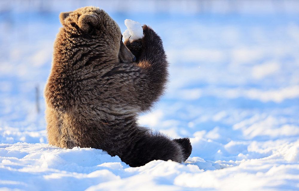 Лепим, лепим, калачи.