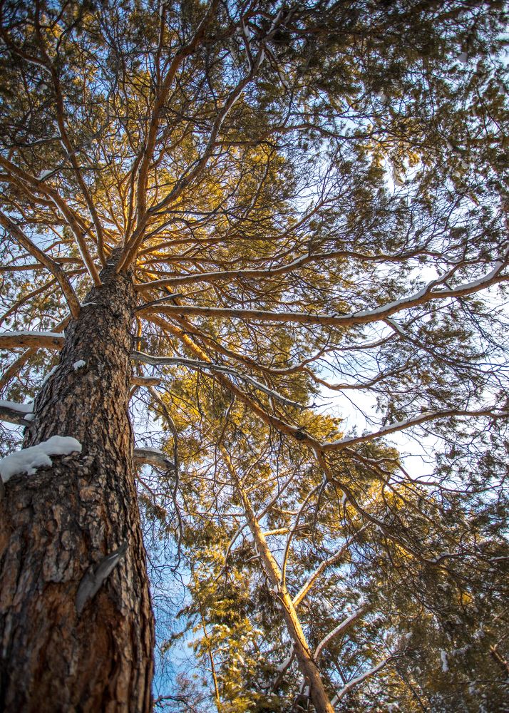 Photograph by Наталья Оконешникова