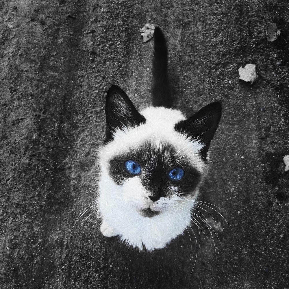 Photograph by Мария Алексеева