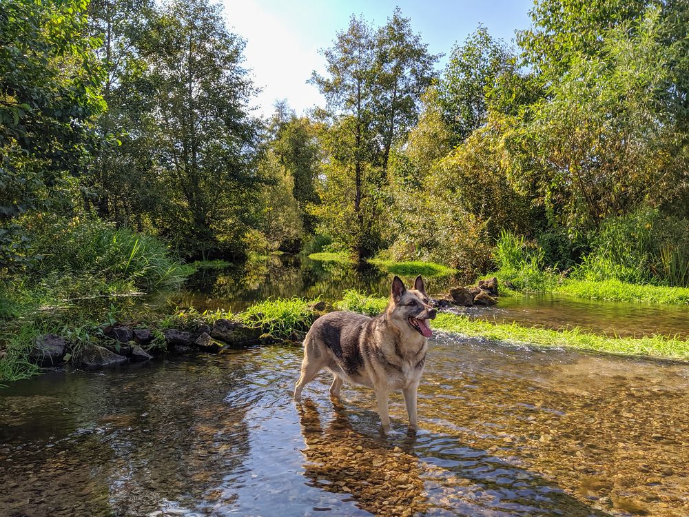 Photograph by Светлана Кондрашова
