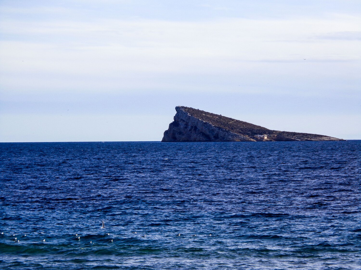 Photo #5675481