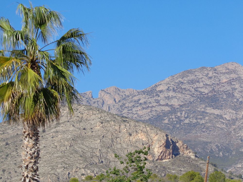 Photo #5675496