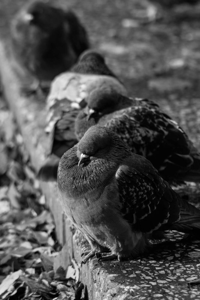 На городской улице.