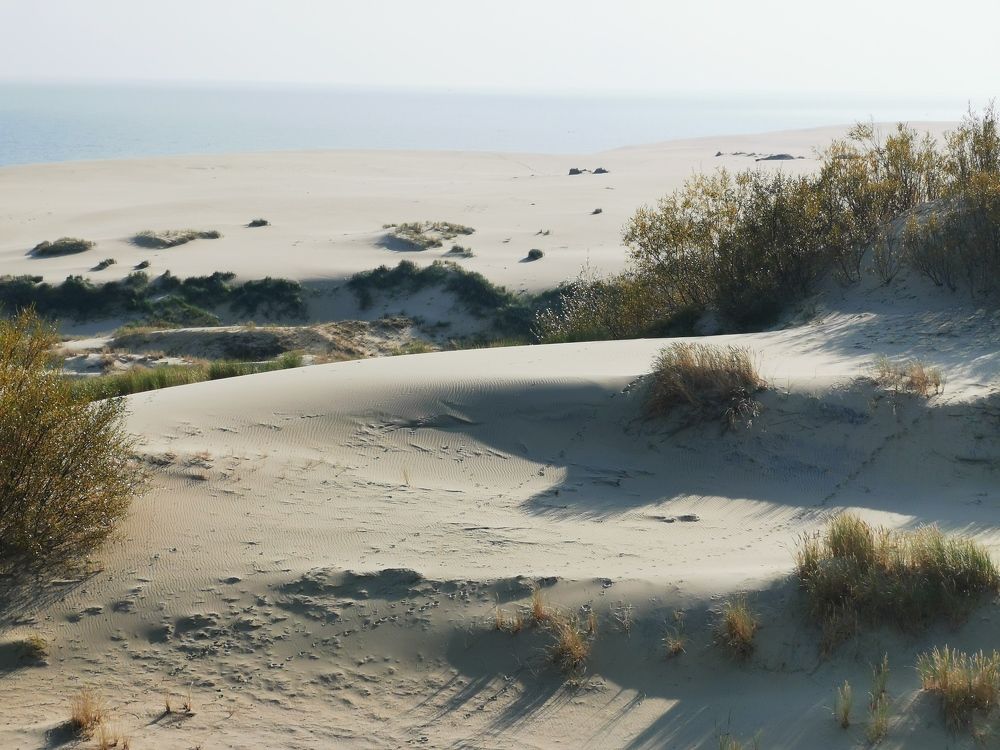 Photograph by Елена Акимова