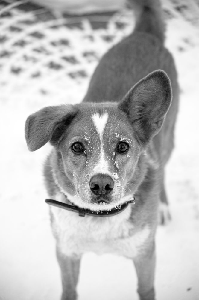 Photograph by Сергей Андрейчук