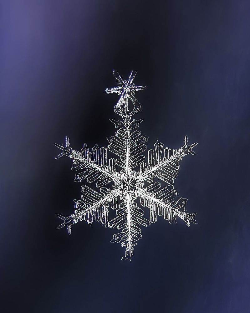 Photograph by Наталья