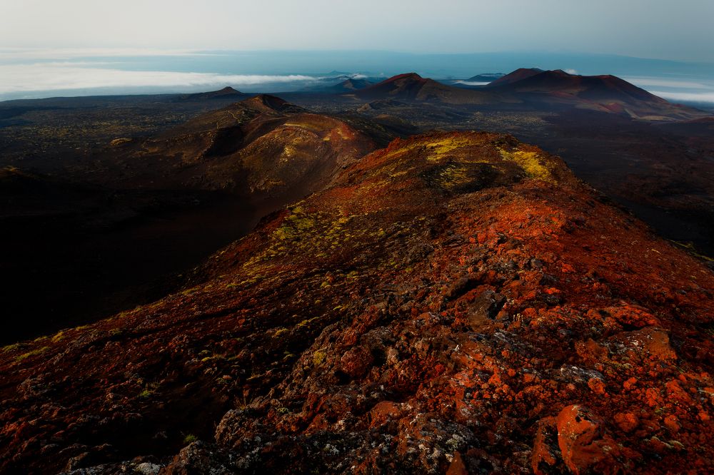 Марсианские хроники