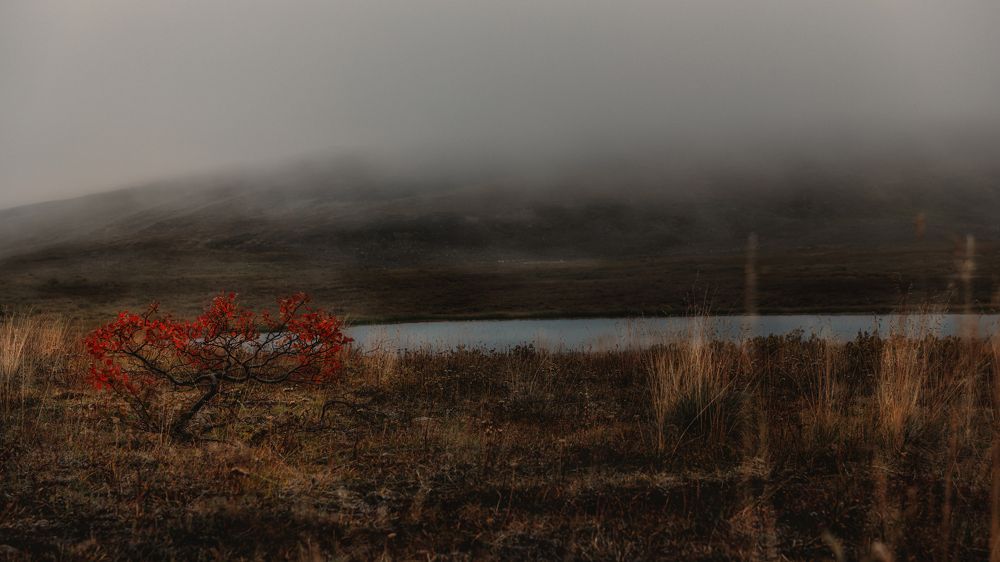 Photograph by Ирина Ульянова