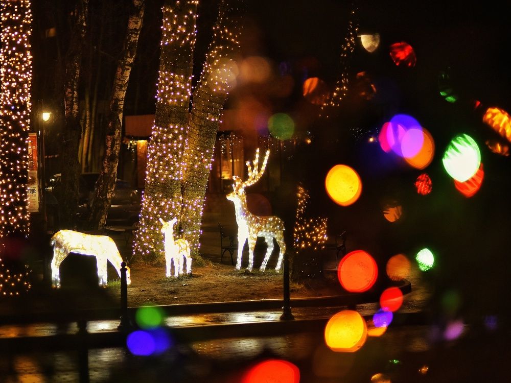Photograph by Владимир Леликов-Кузьменко