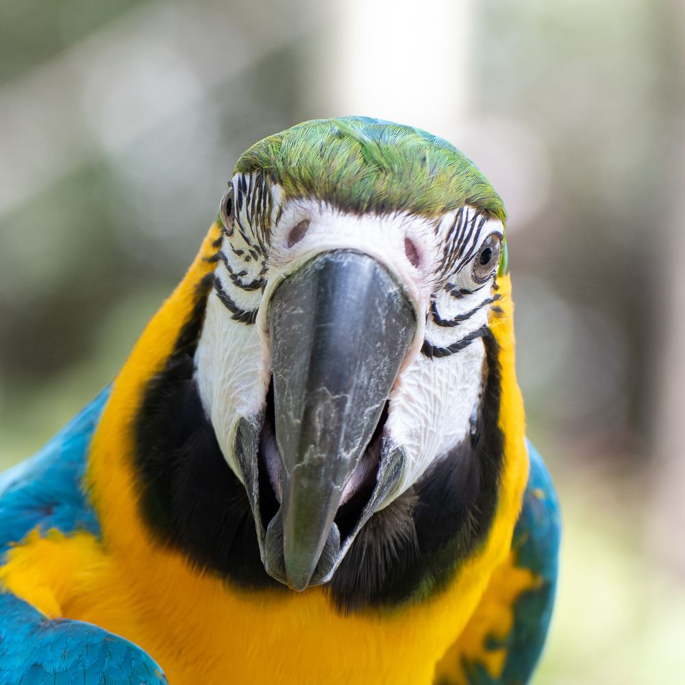 Photograph by Алексей Мистрюков