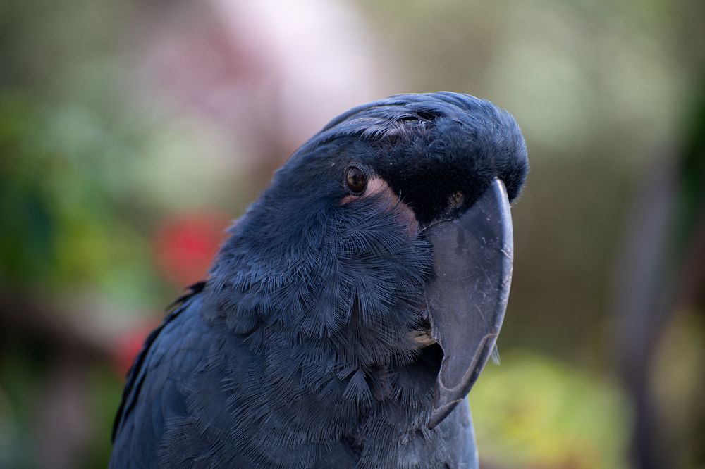 Photograph by Алексей Мистрюков