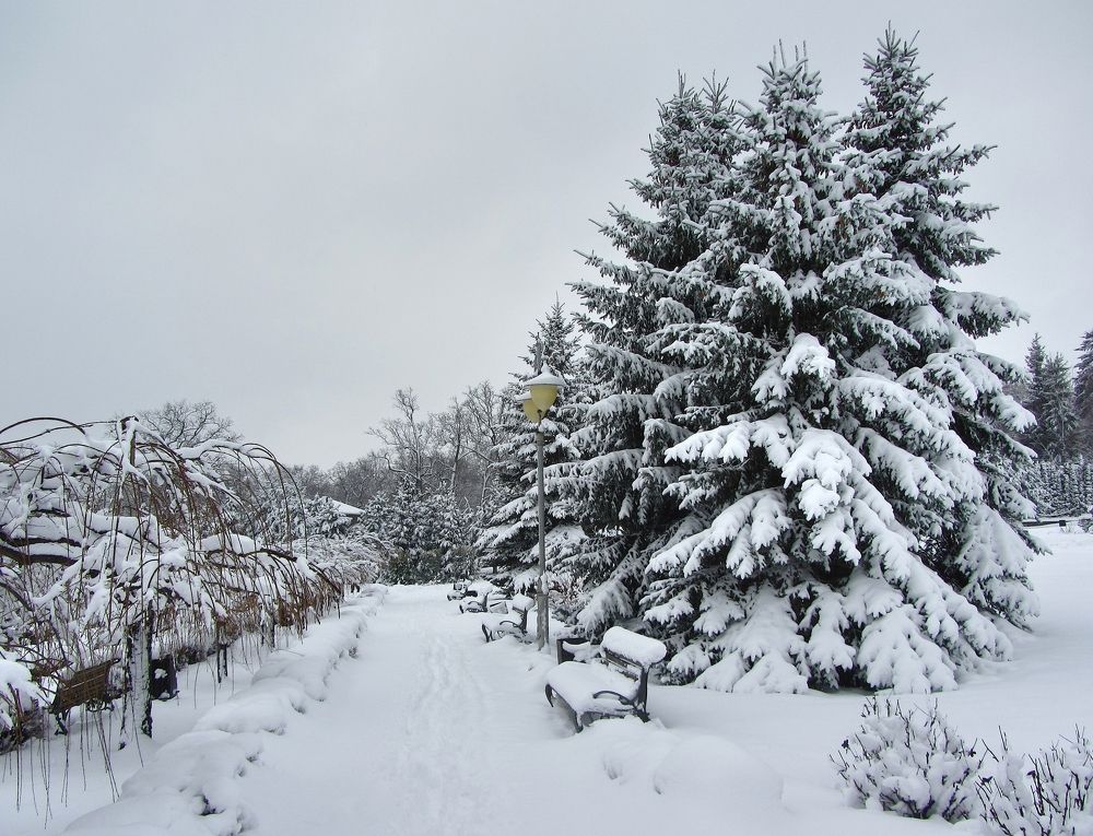 Photograph by Виктор