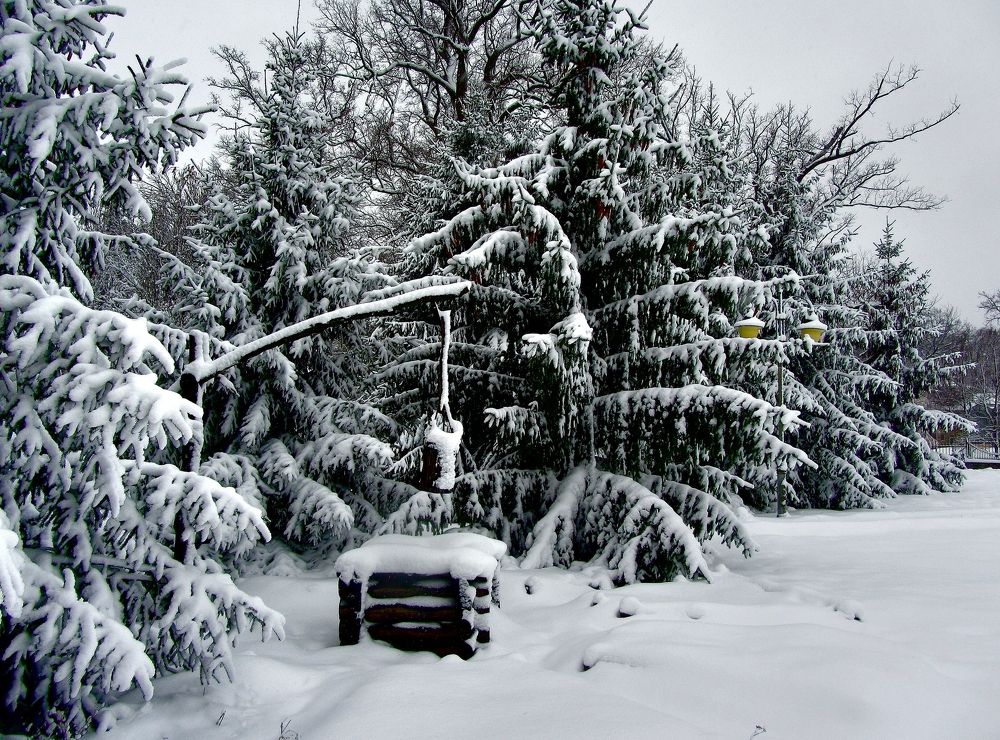 Photograph by Виктор