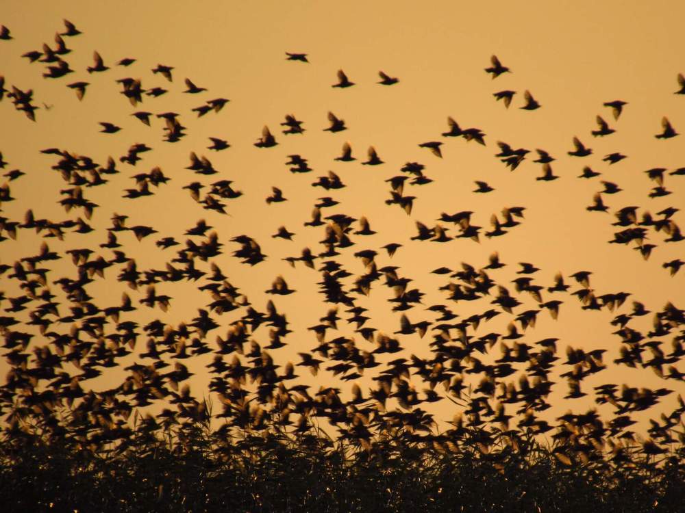 Photograph by Марина Савченко