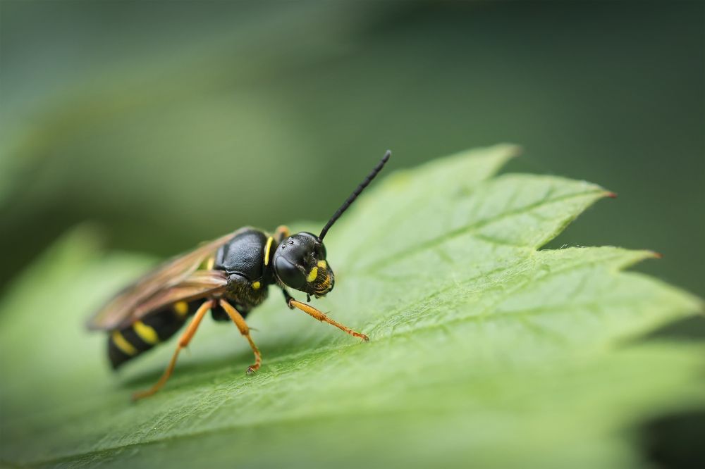 Photograph by Марина Хилько