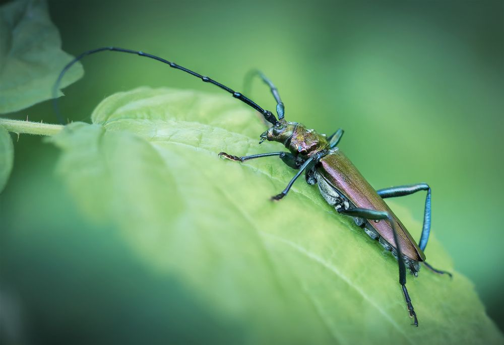 Photograph by Марина Хилько