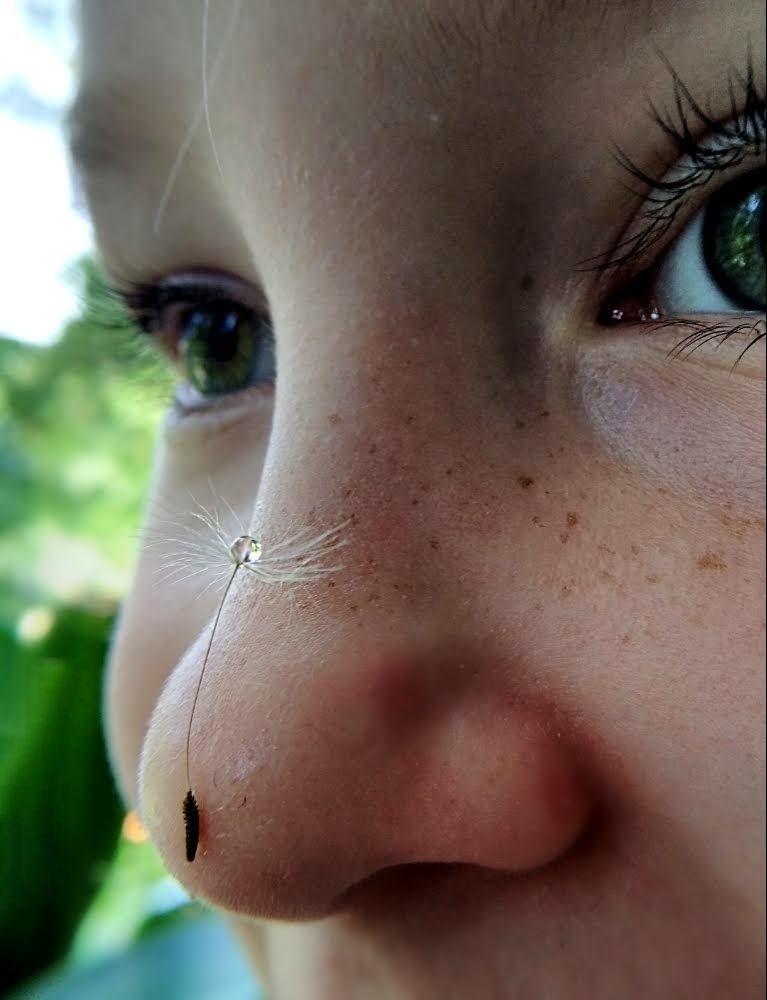 Фотография автора Марина Алексеевская