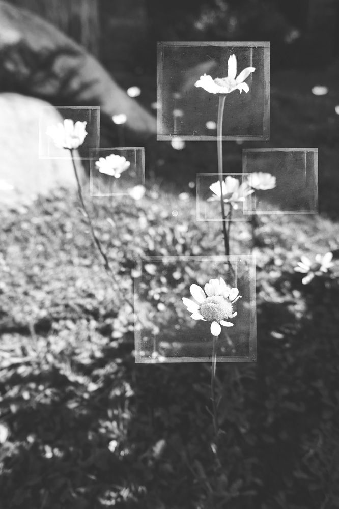 Photograph by James Fink