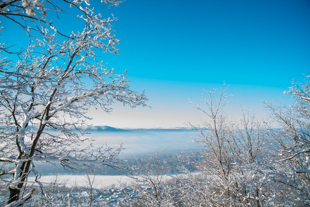 Photograph by Андрей Пшеничников