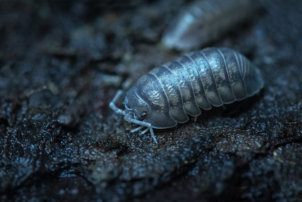 Photograph by Марина Хилько