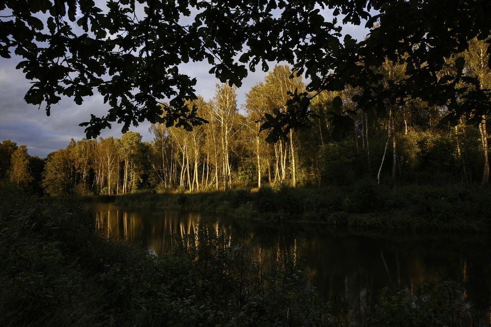 Фотография автора Елена Кошкина