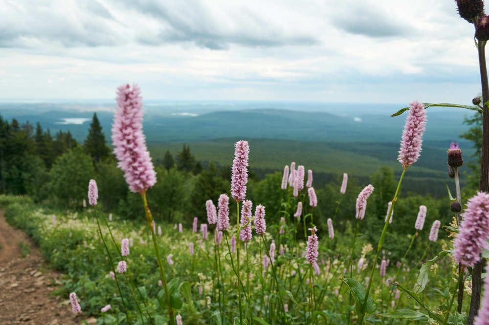 Photograph by Екатерина Володина